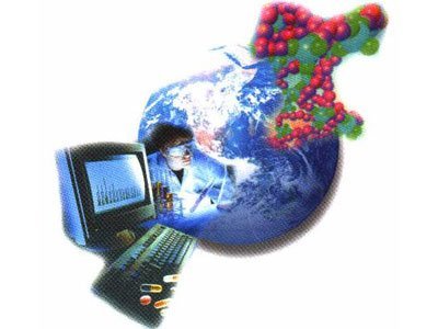 生命密碼與數(shù)字洪流 生物技術(shù)與信息技術(shù)的深度融合與計(jì)算機(jī)開發(fā)新范式